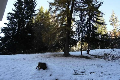 Charmantes Studio für 4 Personen, Ski-in-Ski-...