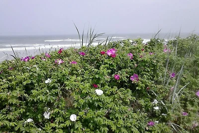 Lagune am Wattenmeer auf Wangerooge