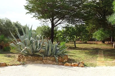 Tenuta Marchese
