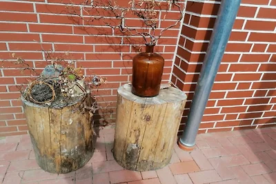 Vakantiehuis met 1 slaapkamer
