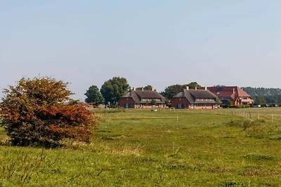 Rügen-Ferienhof