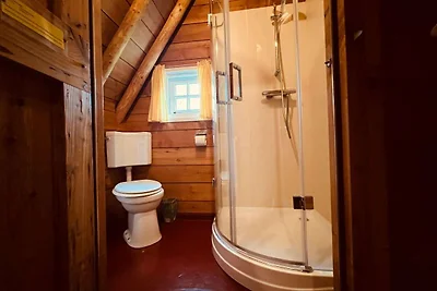 Ferienhaus in Ruinerwold mit Garten