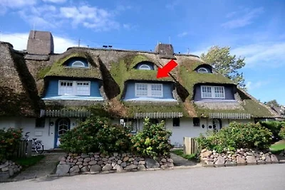 Ferienhaus Erholungsurlaub Nieblum