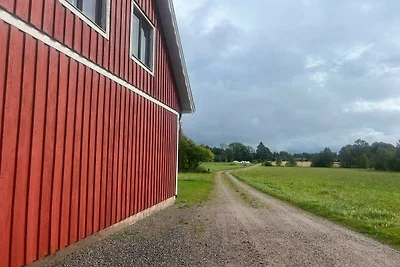 8 Personen Ferienhaus in Ryssby