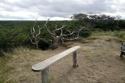 6 Personen Ferienhaus in Ulfborg-By Traum