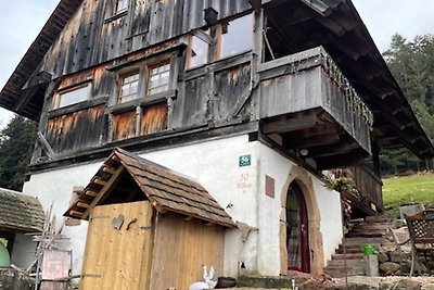 Malerisches Ferienhaus im Schwarzwald mit...