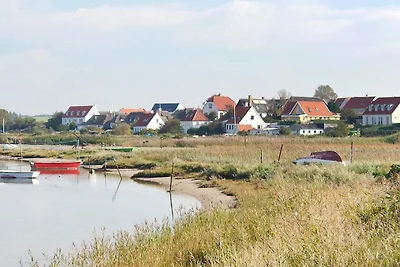 5 Sterne Ferienhaus in Assens