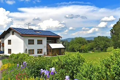 Wohnung in Sonnen nahe Skiliften