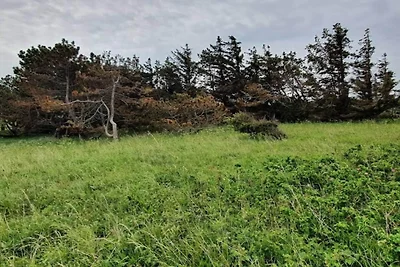 6 persoons vakantie huis in Gørlev-By Traum