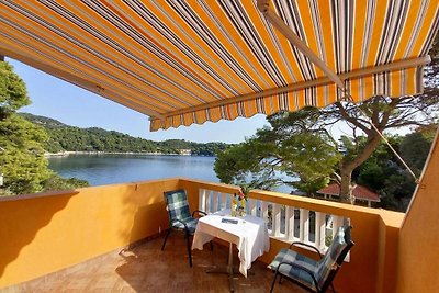 Apartments Vinko Mljet- One-Bedroom Apartment...