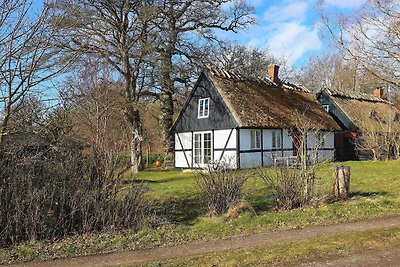 5 persoons vakantie huis in Præstø