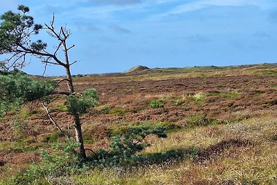 8 Personen Ferienhaus in Rømø-By Traum