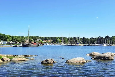 5 Sterne Ferienhaus in Nävekvarn