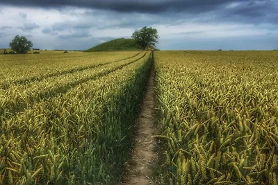 4 Personen Ferienhaus in Martofte