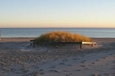 Küstencharme in Havneby