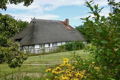 Gezellig huisje met rieten dak