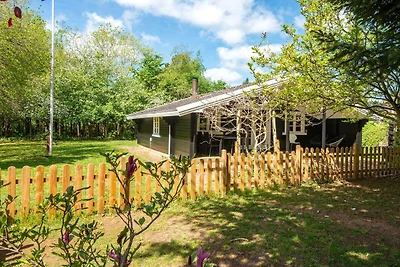 6 persoons vakantie huis in Fårvang