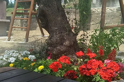 Apartments Danijela & Vlado - One Bedroom Apa...