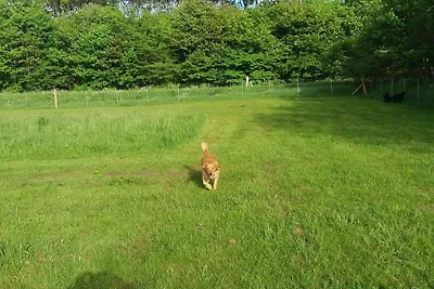 4 Personen Ferienhaus in Nibe-By Traum