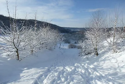Kuća za odmor Dopust za oporavak Losheim am See