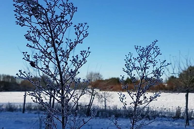 Familienresidenz WellNest