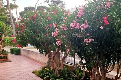 Pansion Belvedere - Two Bedroom Apartment wit...
