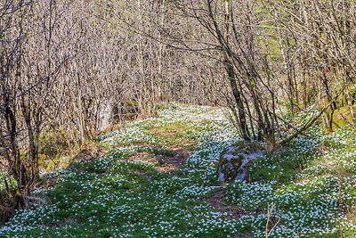 7 Personen Ferienhaus in lyngdal