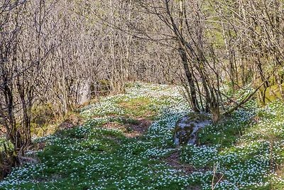 7 Personen Ferienhaus in lyngdal