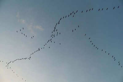 Familie-idylle Modern toevluchtsoord