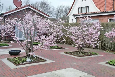Villa Dröömhuus