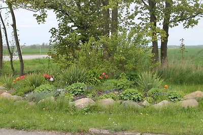 Charmante Ferienwohnung mit Garten in Wiek