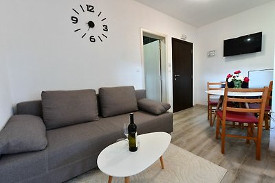 Appartement in Seliste Dreženičko