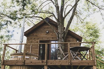 Karakteristiek chalet in Barvaux met sauna