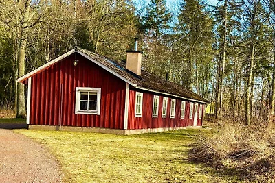 6 Personen vakantie huis in ROCKNEBY