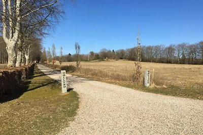 4 persoons vakantie huis in Hovborg-By Traum