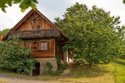 Ferienhaus in Straden mit Sauna und Wifi