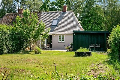 4 Personen Ferienhaus in Rudkøbing-By Traum