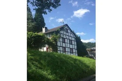 Noah -Seeleben auf Zeit