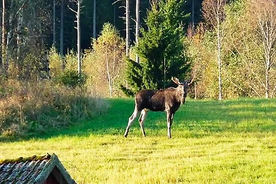 4 Personen Ferienhaus in STRÖMSTAD