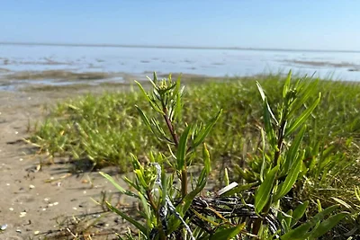 8 Personen Ferienhaus in Ørsted-By Traum