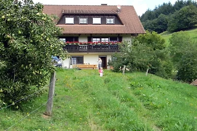 Ferienwohnung mit 0 Schlafzimmer