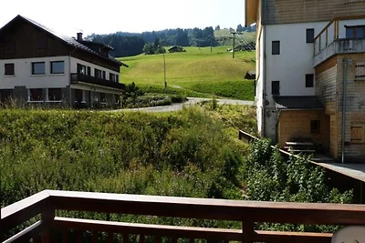 Appartamento a Praz-sur-Arly vicino alle pist...