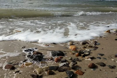 14 persone case ad Læsø