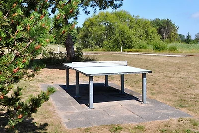 4 sterren vakantie huis in Skagen