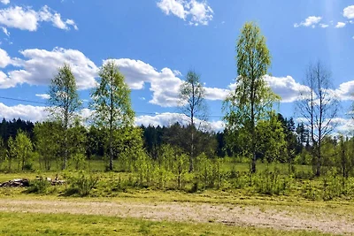 4 Sterne Ferienhaus in LIKENÄS