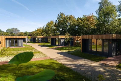 Bungalow für vier Personen in Overijssel