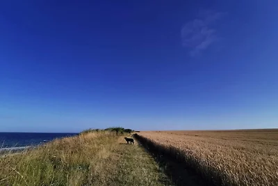 4 persoons vakantie huis in Store Fuglede-By...