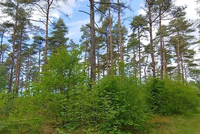 6 Personen Ferienhaus in Oksbøl-By Traum