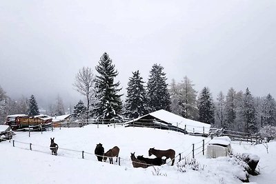 6p chalet in montagna vicino di Fiesch