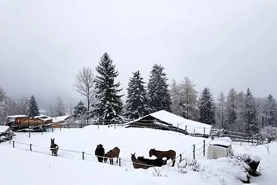 6p chalet in montagna vicino di Fiesch